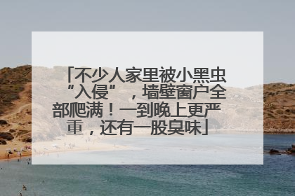 不少人家里被小黑虫“入侵”，墙壁窗户全部爬满！一到晚上更严重，还有一股臭味