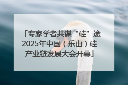 专家学者共谋“硅”途 2025年中国（乐山）硅产业链发展大会开幕