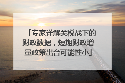 专家详解关税战下的财政数据，短期财政增量政策出台可能性小