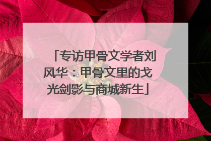 专访甲骨文学者刘风华：甲骨文里的戈光剑影与商城新生