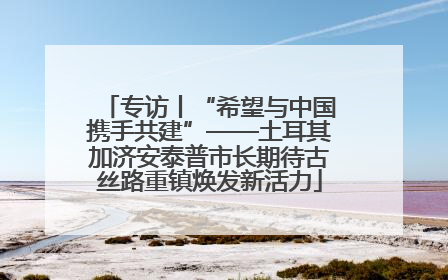 专访丨“希望与中国携手共建”——土耳其加济安泰普市长期待古丝路重镇焕发新活力