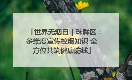 世界无烟日｜珠晖区：多维度宣传控烟知识 全方位共筑健康防线
