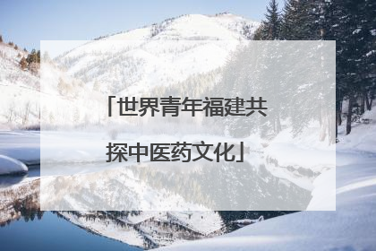 世界青年福建共探中医药文化