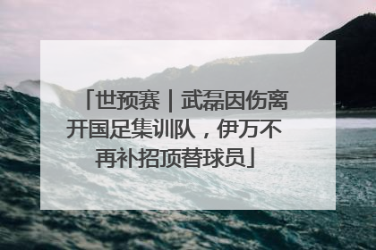 世预赛｜武磊因伤离开国足集训队，伊万不再补招顶替球员