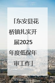 东安县花桥镇扎实开展2025年度低保年审工作