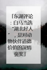 东湖评论：白马当选“湖北好人”，是对动物伙伴道德价值的深情褒奖