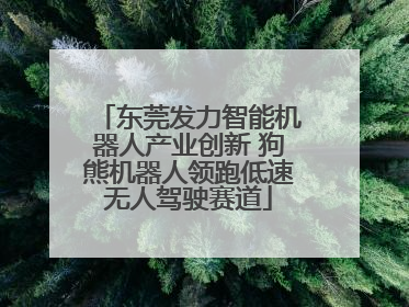 东莞发力智能机器人产业创新 狗熊机器人领跑低速无人驾驶赛道