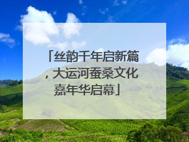 丝韵千年启新篇，大运河蚕桑文化嘉年华启幕