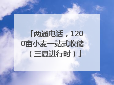 两通电话，1200亩小麦一站式收储（三夏进行时）