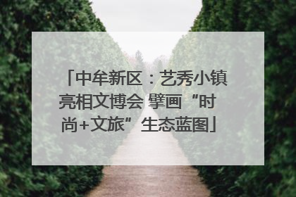 中牟新区：艺秀小镇亮相文博会 擘画“时尚+文旅”生态蓝图