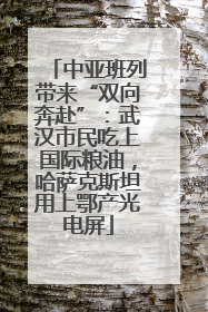 中亚班列带来“双向奔赴”：武汉市民吃上国际粮油，哈萨克斯坦用上鄂产光电屏