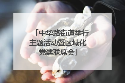 中华路街道举行主题活动暨区域化党建联席会
