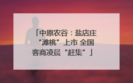 中原农谷：盐店庄“滩桃”上市 全国客商凌晨“赶集”