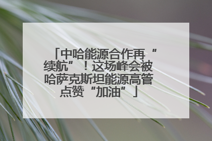 中哈能源合作再“续航”！这场峰会被哈萨克斯坦能源高管点赞“加油”