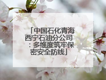 中国石化青海西宁石油分公司：多维度筑牢保密安全防线
