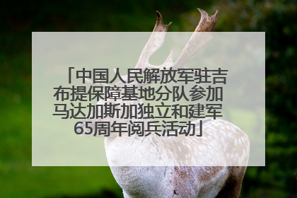 中国人民解放军驻吉布提保障基地分队参加马达加斯加独立和建军65周年阅兵活动