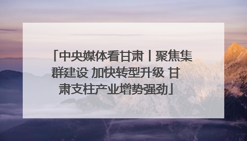 中央媒体看甘肃丨聚焦集群建设 加快转型升级 甘肃支柱产业增势强劲