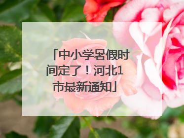 中小学暑假时间定了！河北1市最新通知