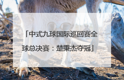 中式九球国际巡回赛全球总决赛：楚秉杰夺冠