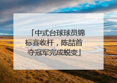 中式台球球员锦标赛收杆，陈喆首夺冠军完成蜕变
