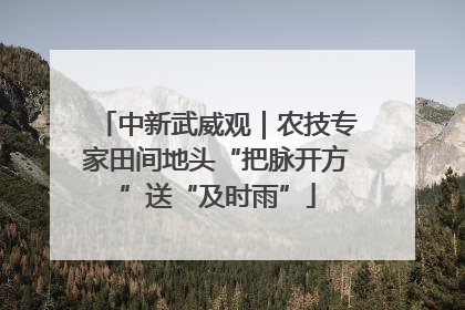 中新武威观｜农技专家田间地头“把脉开方”送“及时雨”