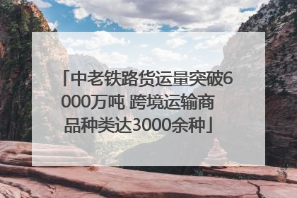 中老铁路货运量突破6000万吨 跨境运输商品种类达3000余种