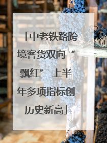 中老铁路跨境客货双向“飘红” 上半年多项指标创历史新高