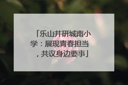 乐山井研城南小学：展现青春担当，共议身边要事