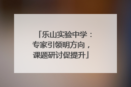 乐山实验中学：专家引领明方向，课题研讨促提升