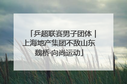 乒超联赛男子团体｜上海地产集团不敌山东魏桥·向尚运动