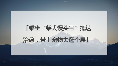 乘坐“柴犬馒头号”抵达治愈，带上宠物去逛个展