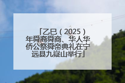 乙巳（2025）年舜裔舜商、华人华侨公祭舜帝典礼在宁远县九嶷山举行