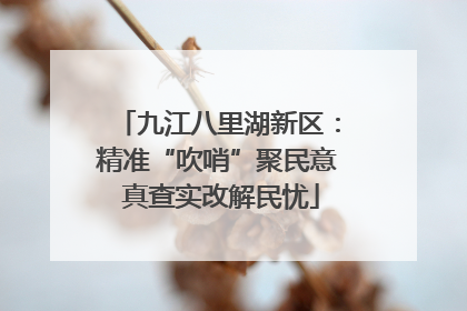 九江八里湖新区：精准“吹哨”聚民意 真查实改解民忧