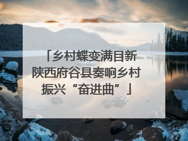 乡村蝶变满目新 陕西府谷县奏响乡村振兴“奋进曲”