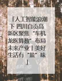 人工智能浪潮下 四川自贡高新区聚焦“车机龙医算数”布局未来产业丨美好生活有“盐”味