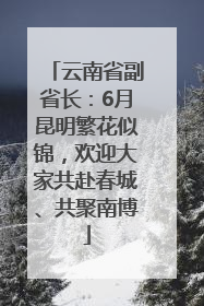 云南省副省长：6月昆明繁花似锦，欢迎大家共赴春城、共聚南博