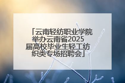 云南轻纺职业学院举办云南省2025届高校毕业生轻工纺织类专场招聘会