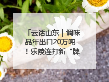 云话山东｜调味品年出口20万吨！乐陵连打新“牌”助力企业出海