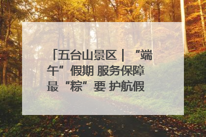 五台山景区｜“端午”假期 服务保障最“粽”要 护航假期“不打烊”