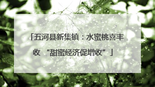 五河县新集镇：水蜜桃喜丰收 “甜蜜经济促增收”
