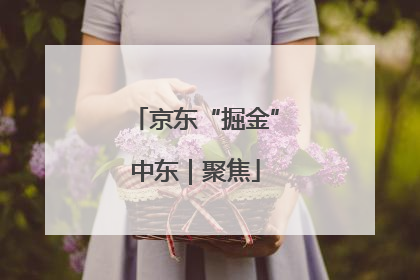 京东“掘金”中东｜聚焦