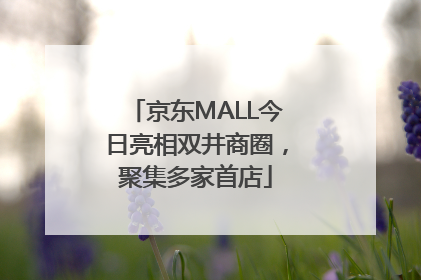 京东MALL今日亮相双井商圈，聚集多家首店