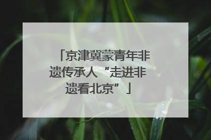 京津冀蒙青年非遗传承人“走进非遗看北京”