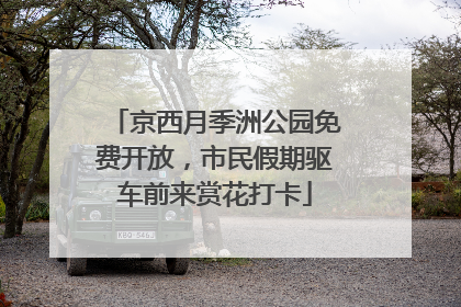 京西月季洲公园免费开放，市民假期驱车前来赏花打卡