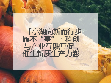 亭湖向新而行步履不“亭”：科创与产业互融互促，催生新质生产力澎湃动能