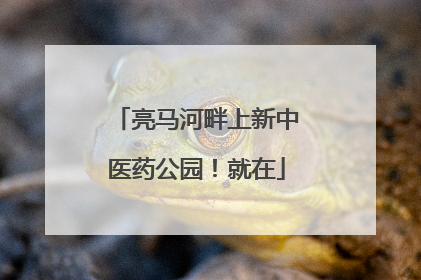 亮马河畔上新中医药公园！就在