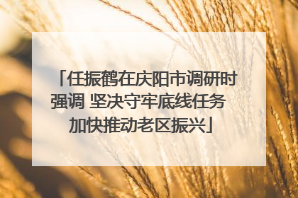 任振鹤在庆阳市调研时强调 坚决守牢底线任务 加快推动老区振兴