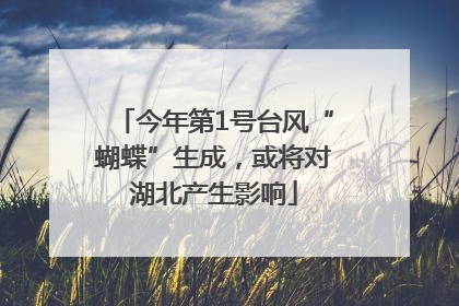 今年第1号台风“蝴蝶”生成，或将对湖北产生影响
