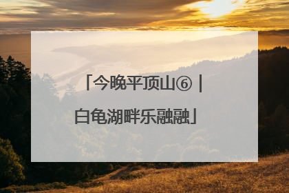 今晚平顶山⑥｜白龟湖畔乐融融