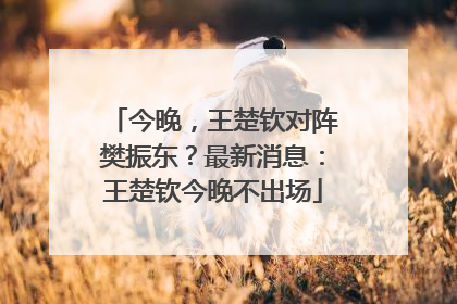 今晚，王楚钦对阵樊振东？最新消息：王楚钦今晚不出场